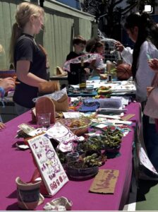 Students running a market stall of plants and handmade goods on a pink-draped table