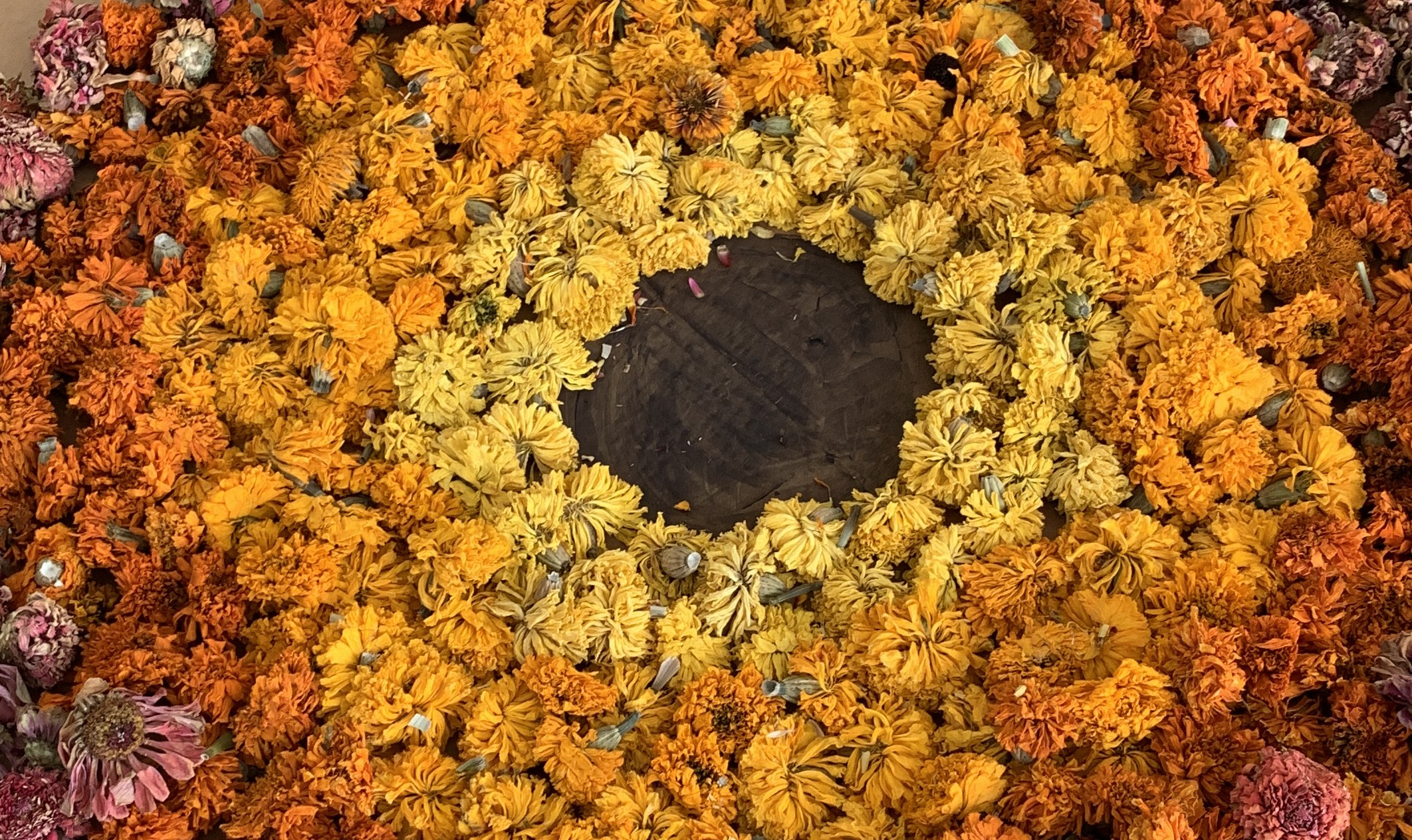 A circle of dried marigolds and pink flowers arranged by students on a painted board